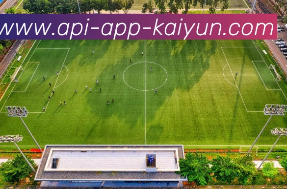 开云app平台生态图